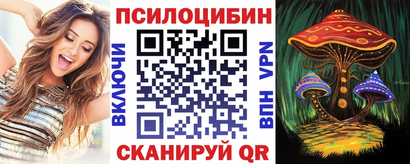 где можно купить KRAKEN ТОР Псилоцибиновые грибы MAGIC MUSHROOMS Кызыл